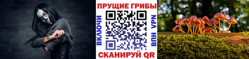 как найти закладки kraken вход Псилоцибиновые грибы Magic Shrooms Любим